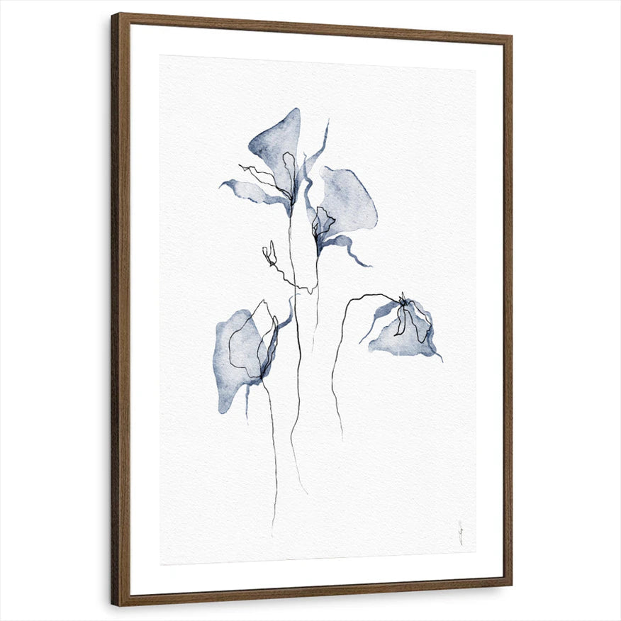 framed-print-brown-walnut-matted
