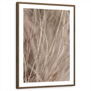 framed-print-brown-walnut-matted