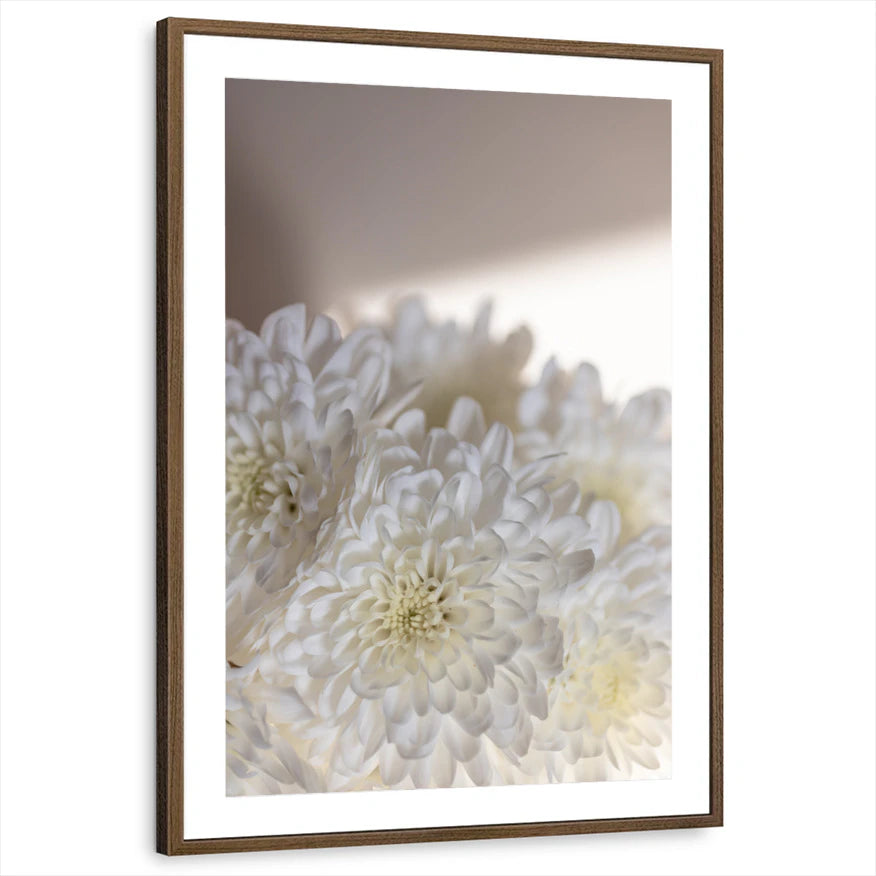 framed-print-brown-walnut-matted