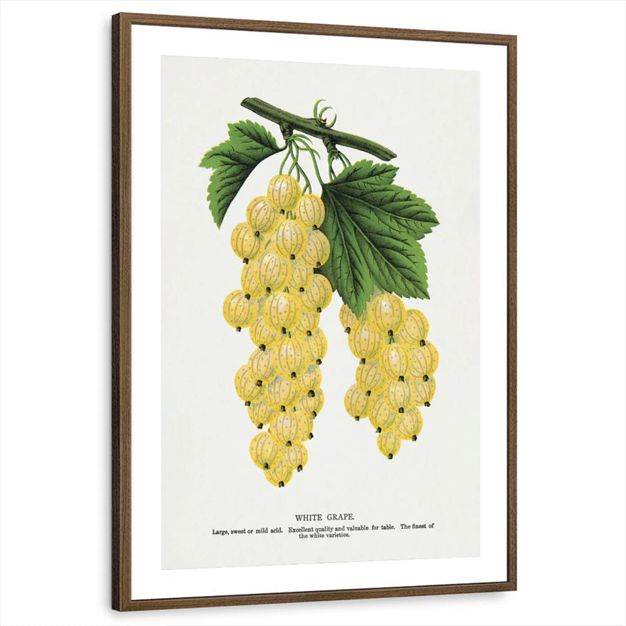 framed-print-brown-walnut-matted