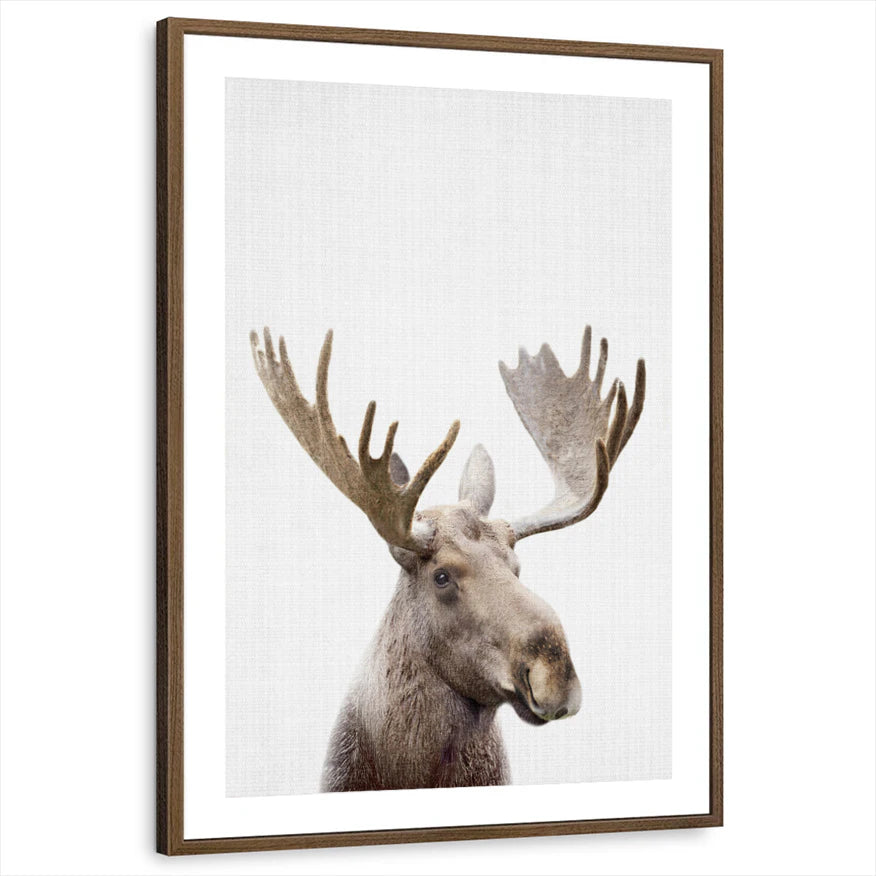 framed-print-brown-walnut-matted
