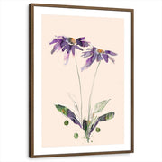 framed-print-brown-walnut-matted