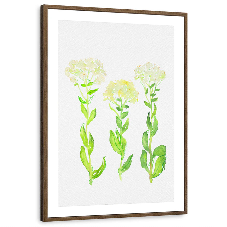 framed-print-brown-walnut-matted
