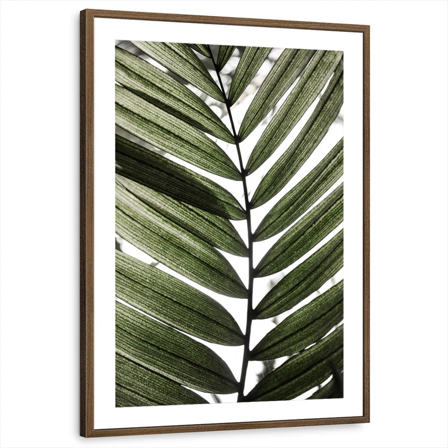 framed-print-brown-walnut-matted