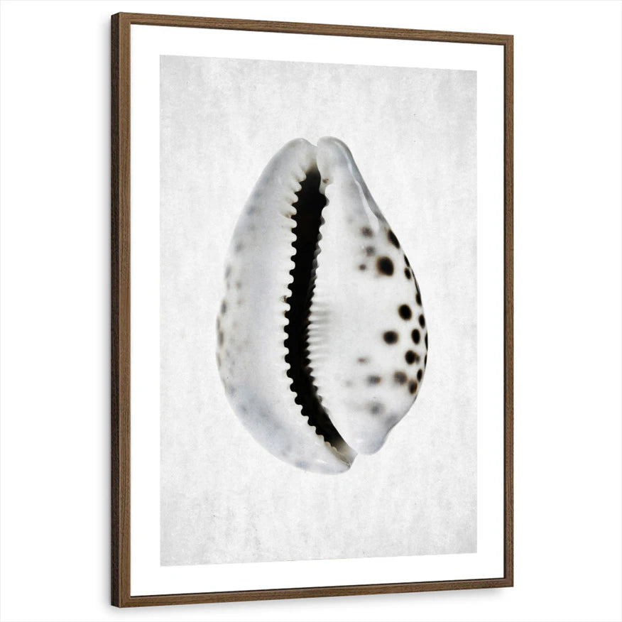 framed-print-brown-walnut-matted