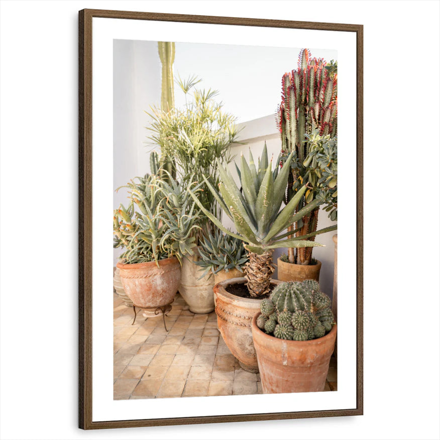 framed-print-brown-walnut-matted