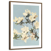 framed-print-brown-walnut-matted