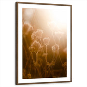 framed-print-brown-walnut-matted