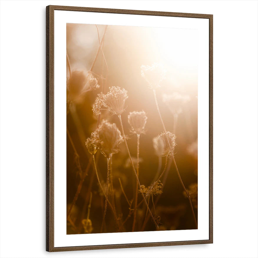 framed-print-brown-walnut-matted