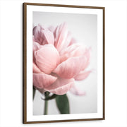framed-print-brown-walnut-matted