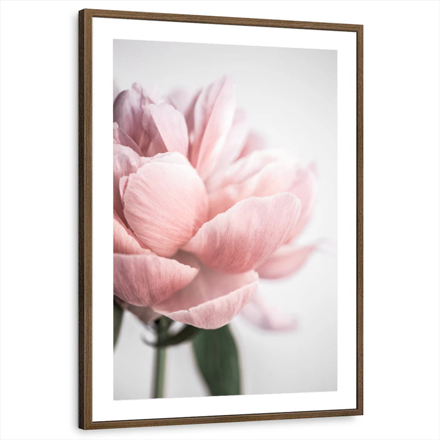 framed-print-brown-walnut-matted