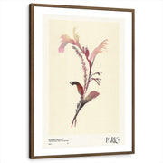 framed-print-brown-walnut-matted