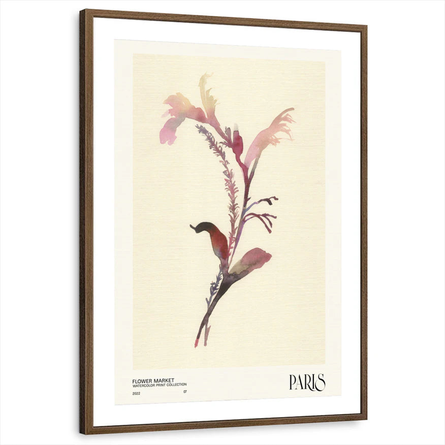 framed-print-brown-walnut-matted