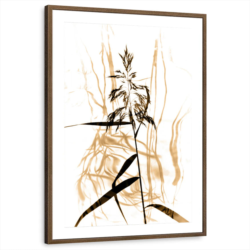 framed-print-brown-walnut-matted