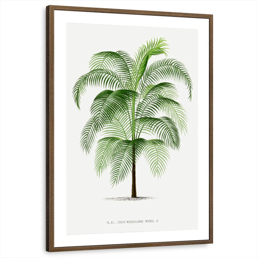 framed-print-brown-walnut-matted