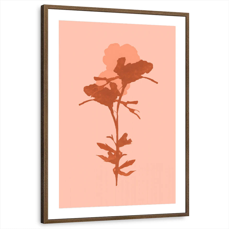 framed-print-brown-walnut-matted