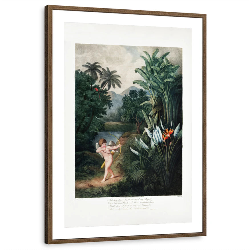 framed-print-brown-walnut-matted