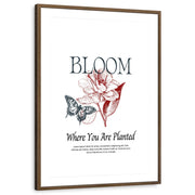 framed-print-brown-walnut-matted