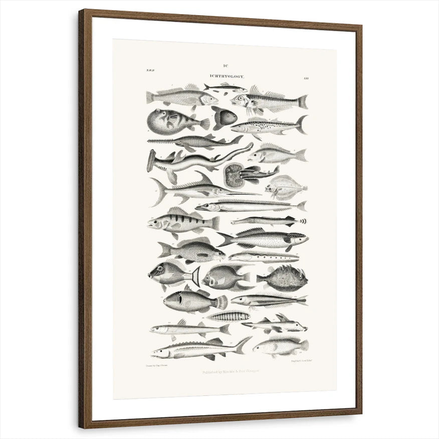 framed-print-brown-walnut-matted