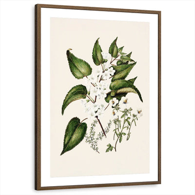 framed-print-brown-walnut-matted
