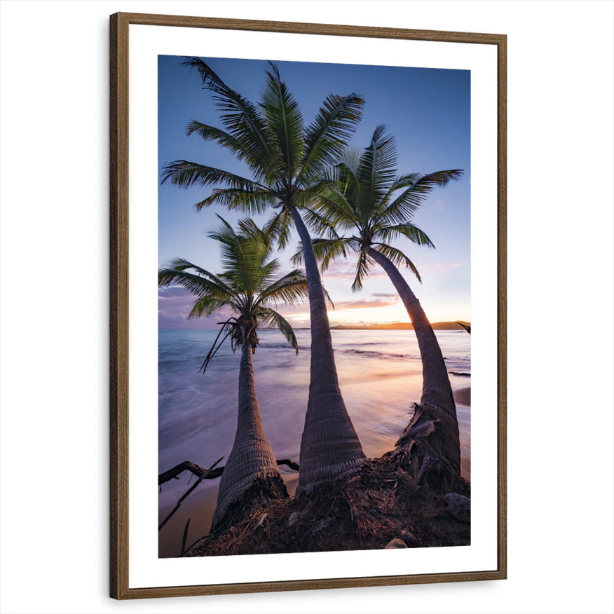 framed-print-brown-walnut-matted