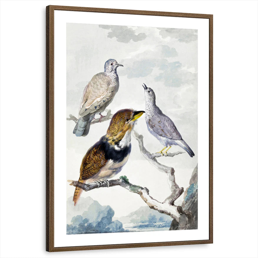 framed-print-brown-walnut-matted