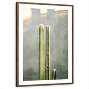 framed-print-brown-walnut-matted