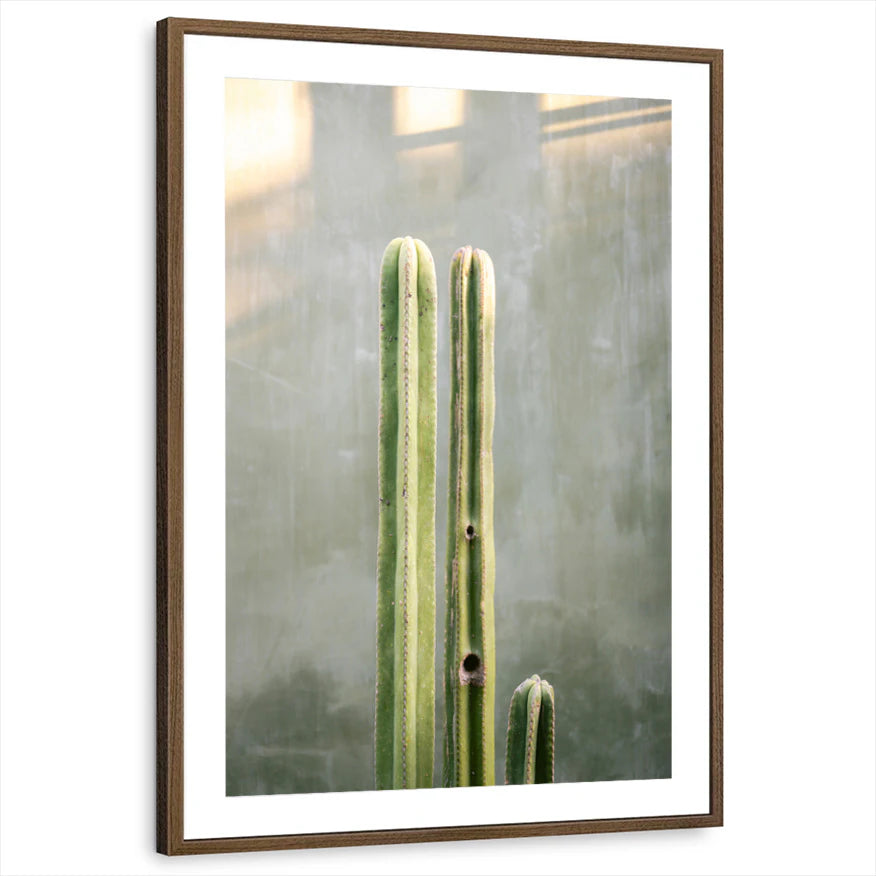 framed-print-brown-walnut-matted