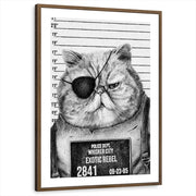 framed-print-brown-walnut-matted