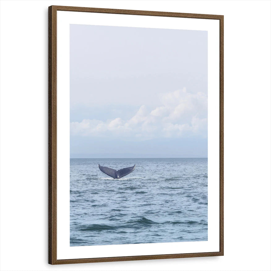 framed-print-brown-walnut-matted