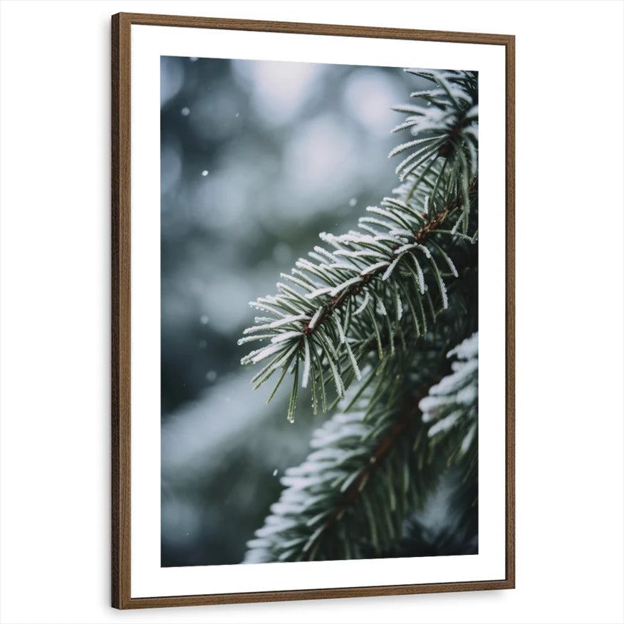 framed-print-brown-walnut-matted