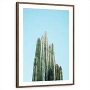 framed-print-brown-walnut-matted