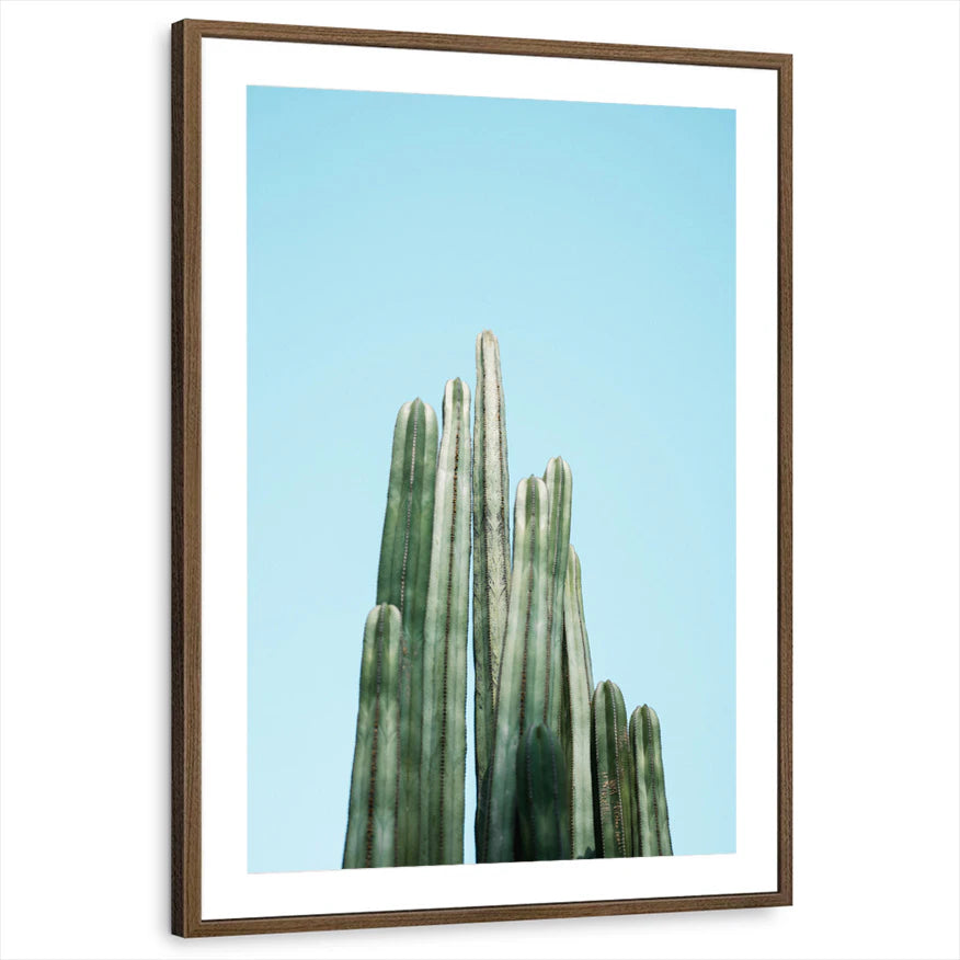 framed-print-brown-walnut-matted