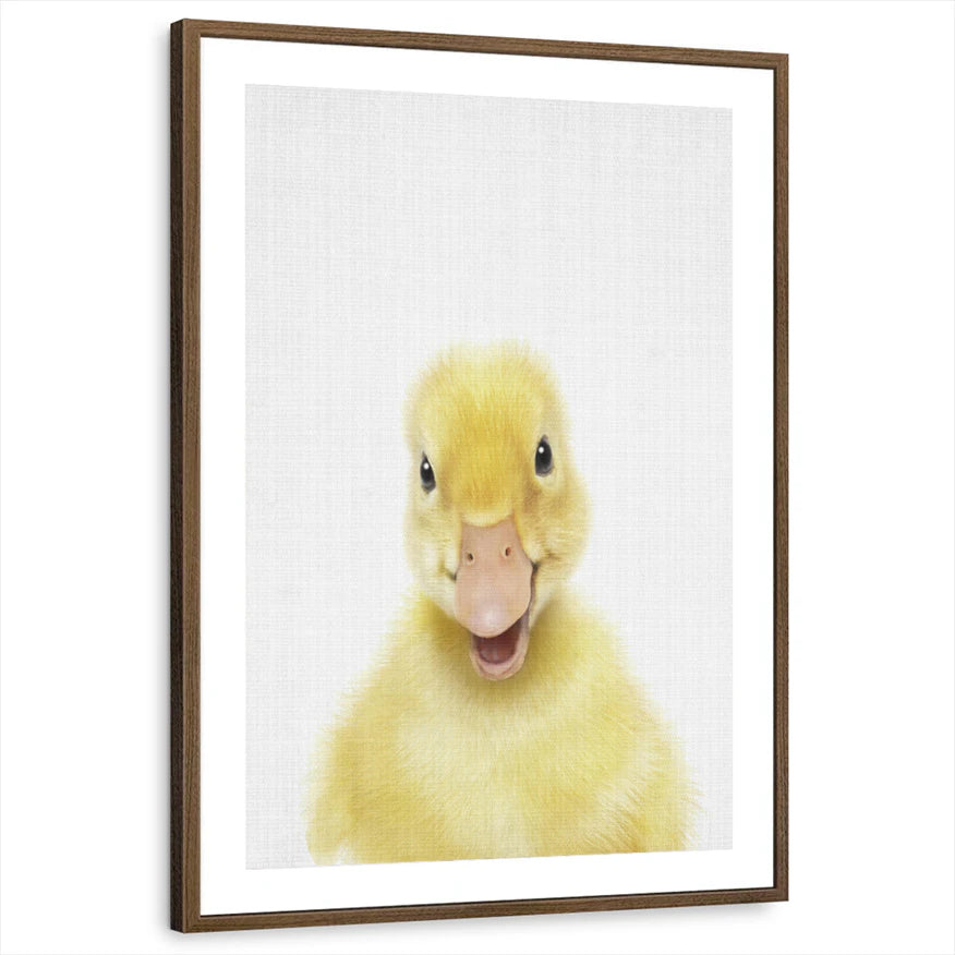 framed-print-brown-walnut-matted