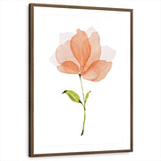 framed-print-brown-walnut-matted