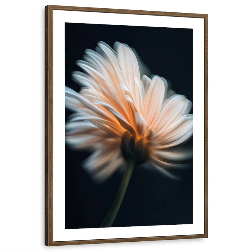 framed-print-brown-walnut-matted