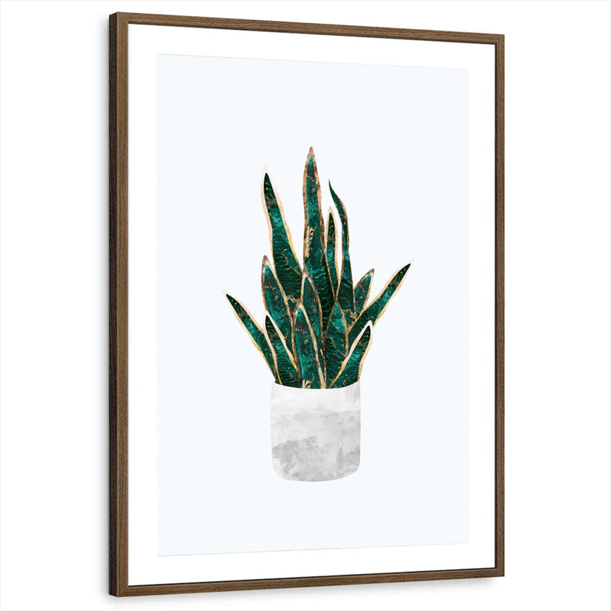 framed-print-brown-walnut-matted