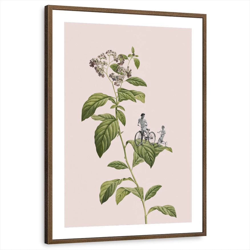 framed-print-brown-walnut-matted