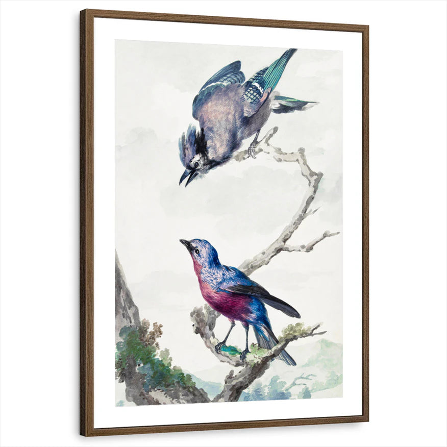 framed-print-brown-walnut-matted