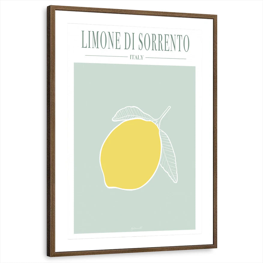 framed-print-brown-walnut-matted