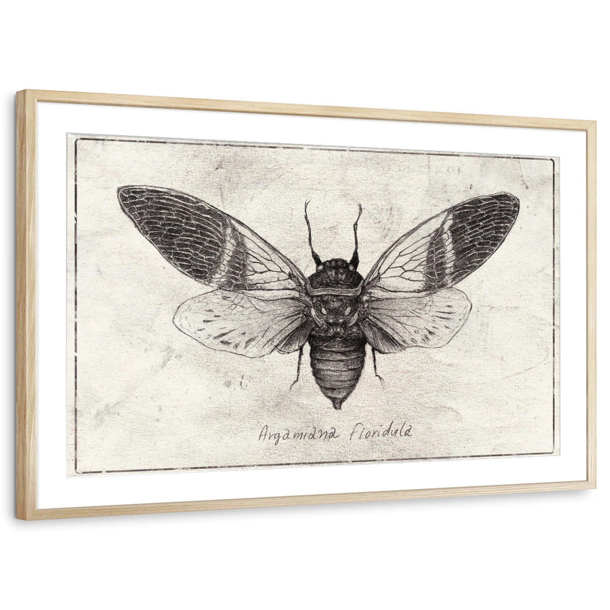 framed-print-natural-wood-matted