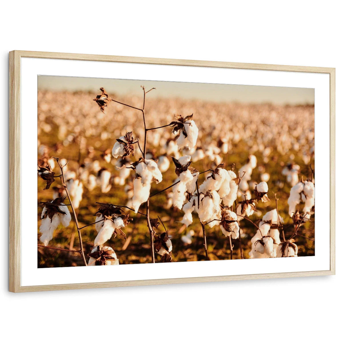 framed-print-natural-wood-matted