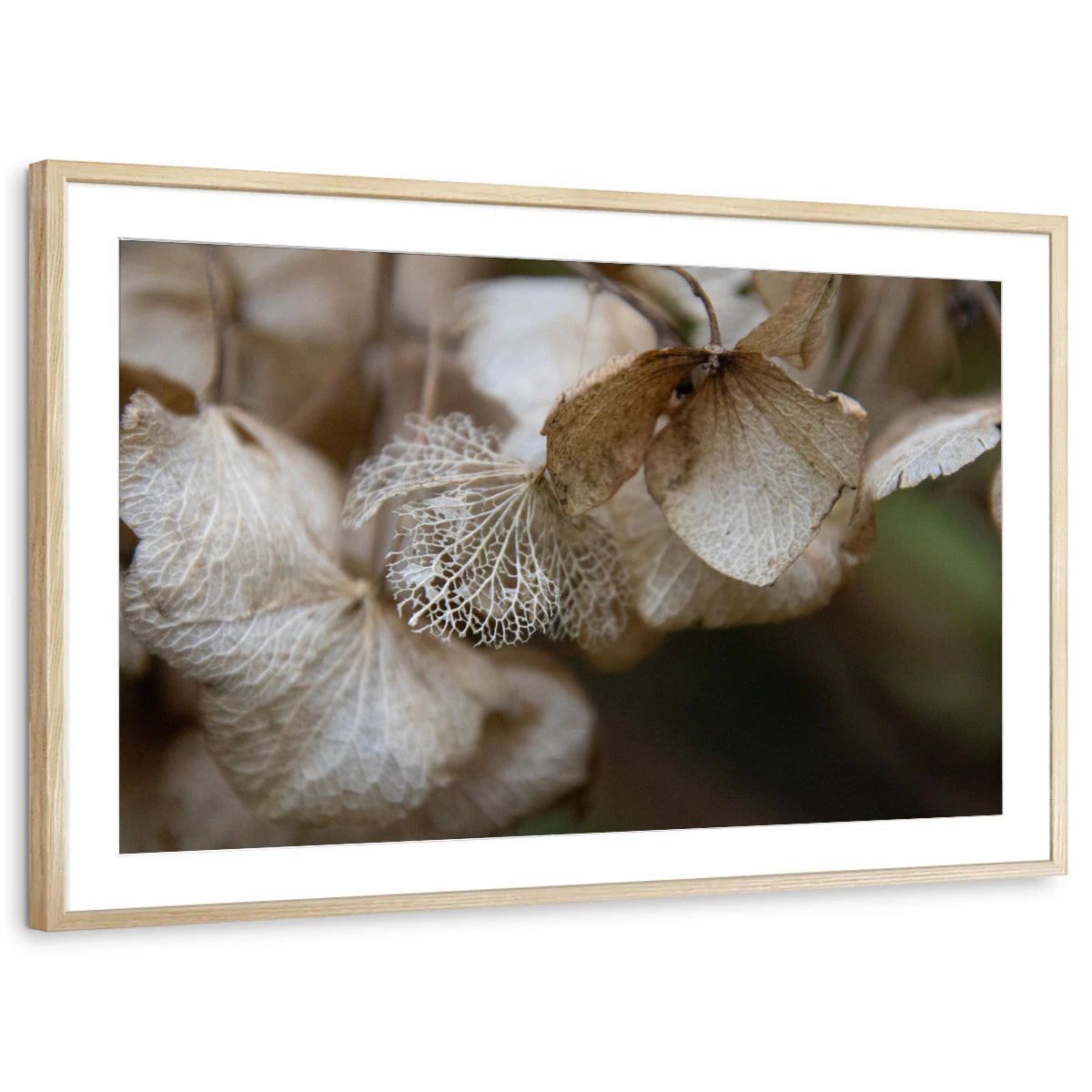 framed-print-natural-wood-matted