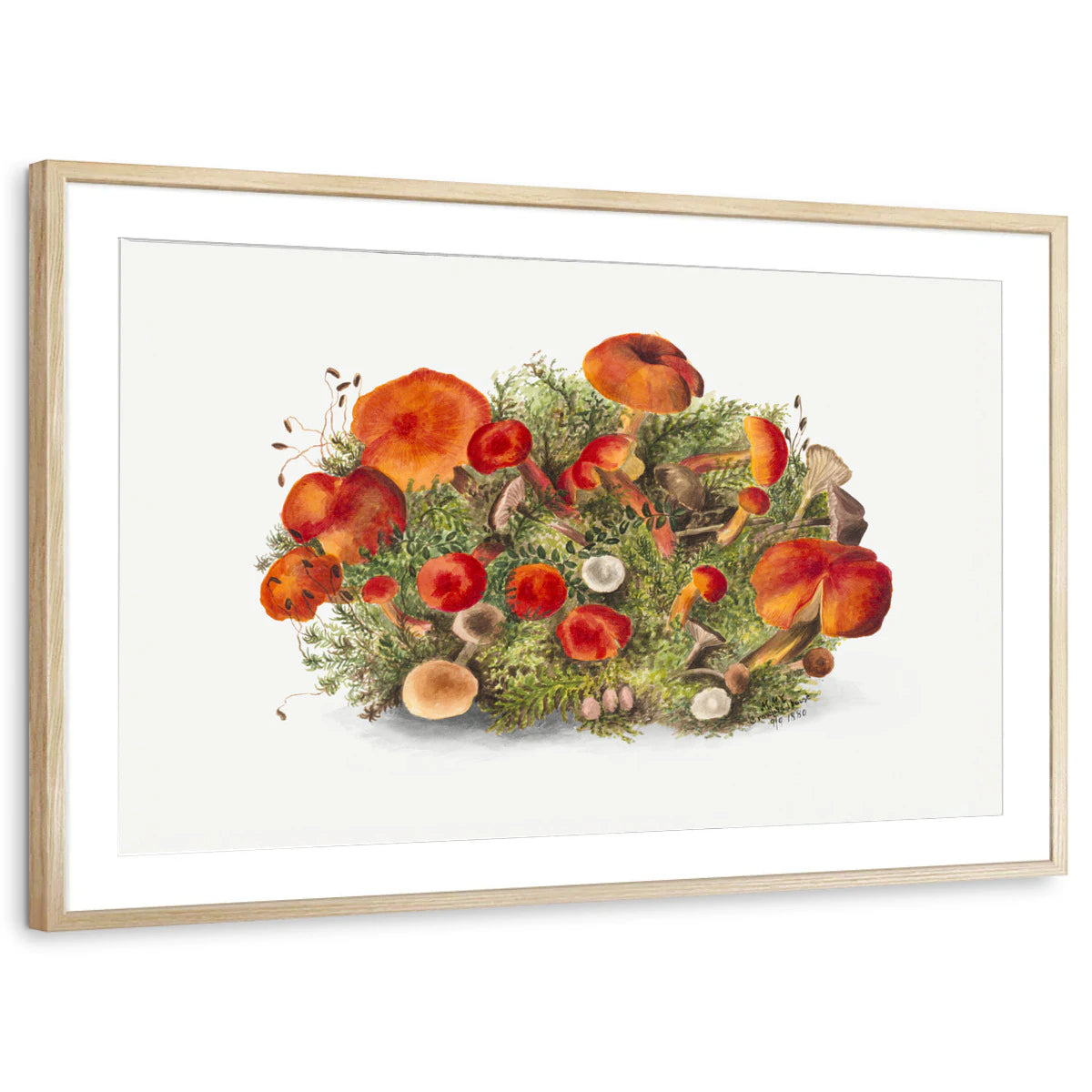 framed-print-natural-wood-matted