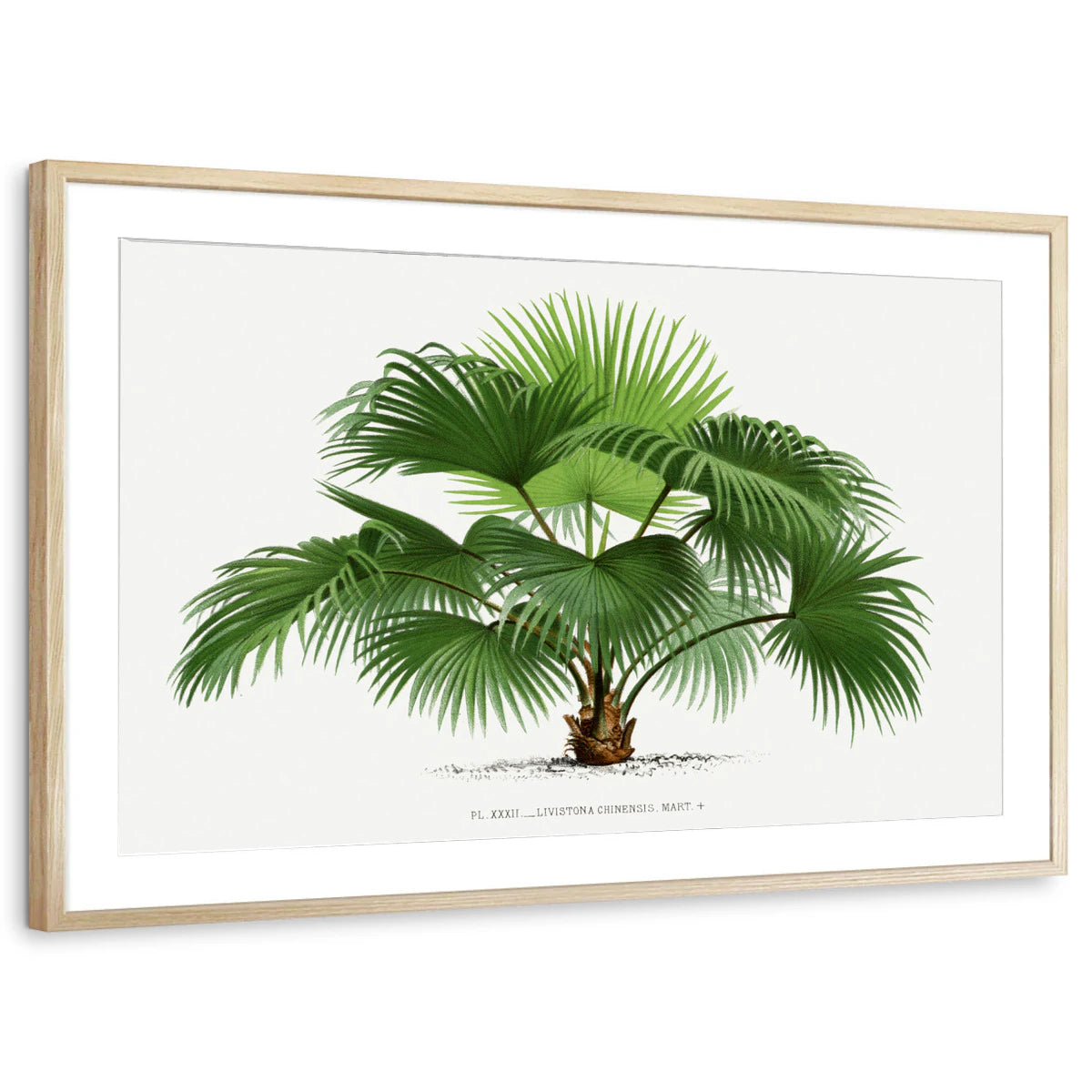 framed-print-natural-wood-matted