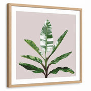 framed-print-natural-wood-white-border