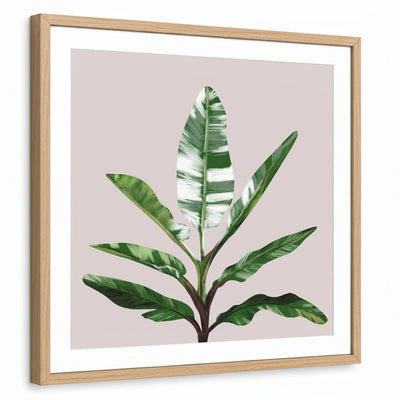 framed-print-natural-wood-white-border
