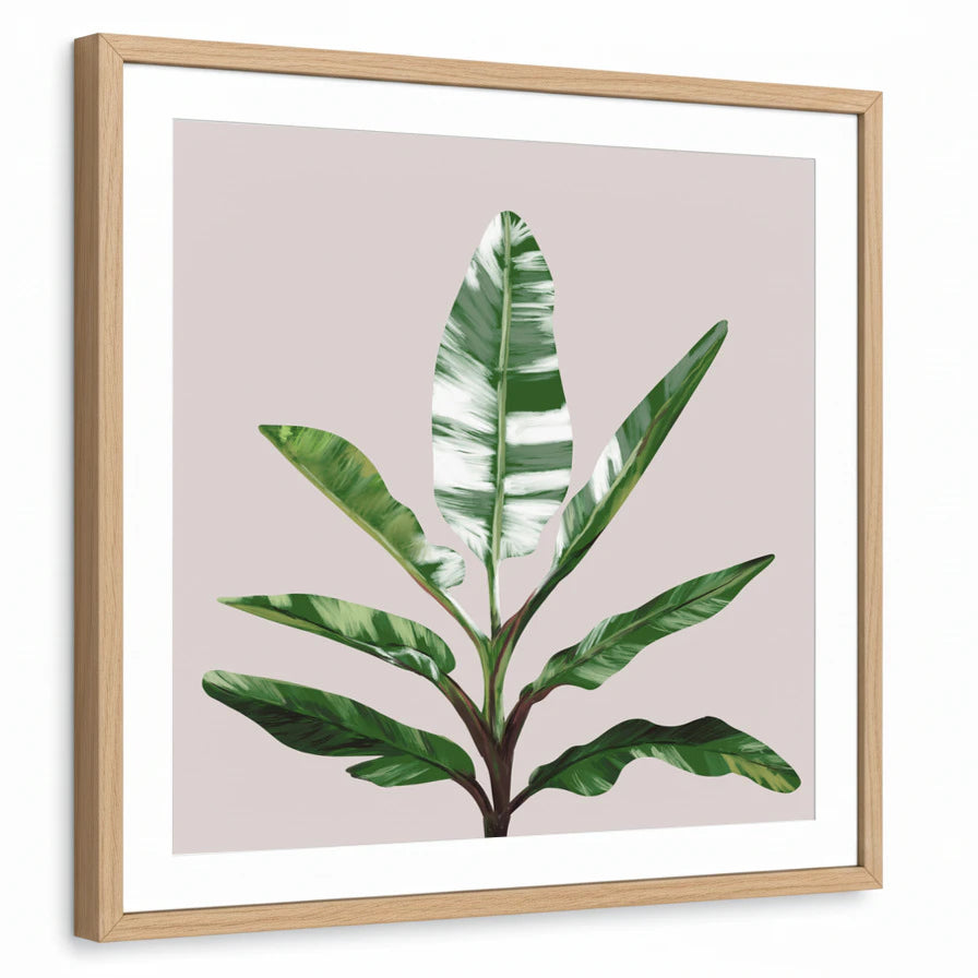 framed-print-natural-wood-white-border