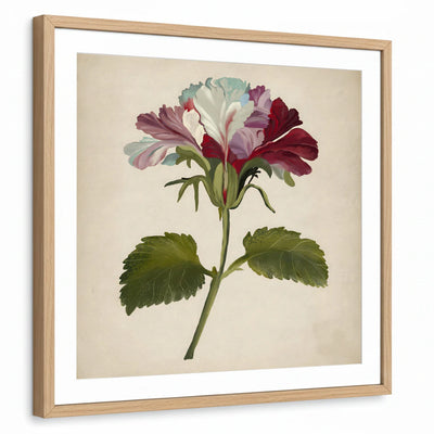 framed-print-natural-wood-white-border