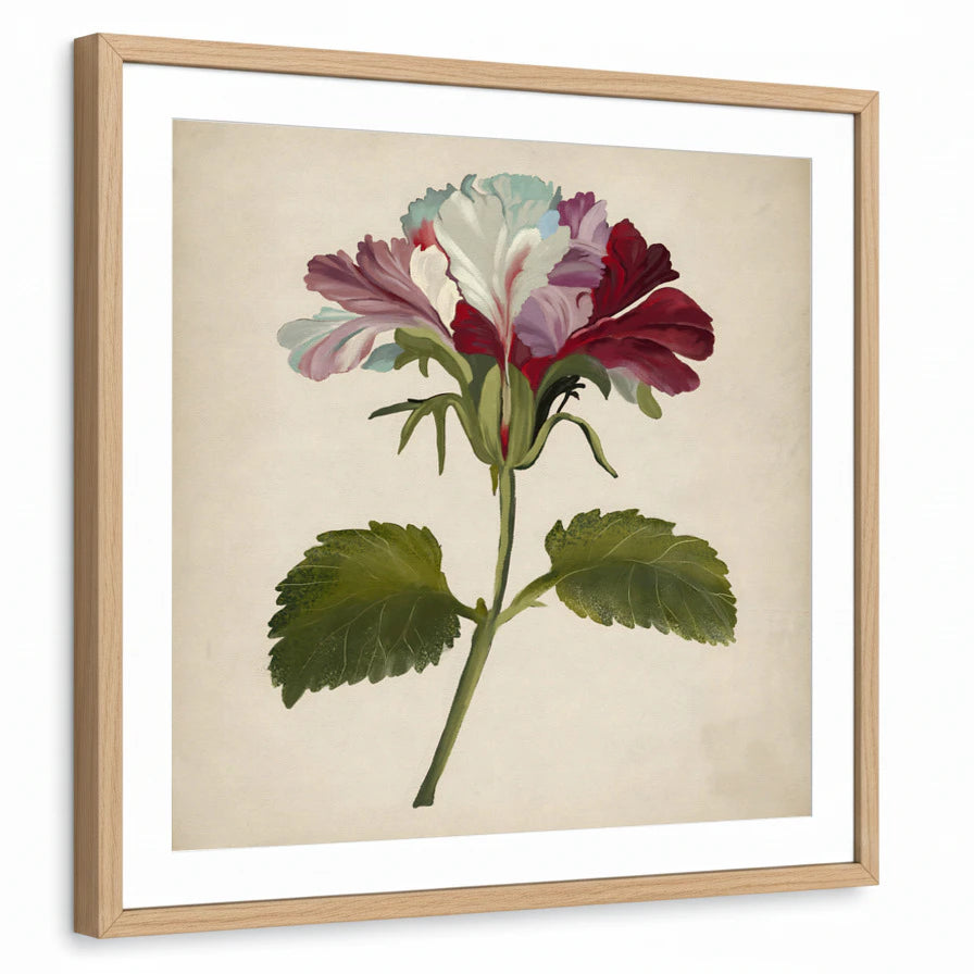 framed-print-natural-wood-white-border